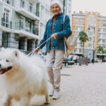 A Lady Walking a Dog Down the Street In Erie PA