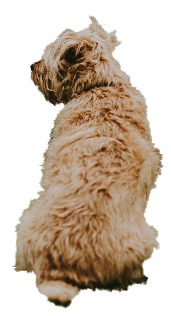 Pooper Scooper Dog Cutout